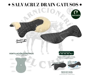 Salvacruz DRAIN | Gatusos