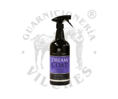 Carr & Day & Martin Dreamcoat Brillo Final Spray 1L