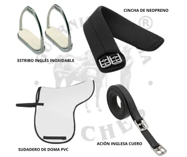 Silla Doma OMEGA Puentes Intercambiables