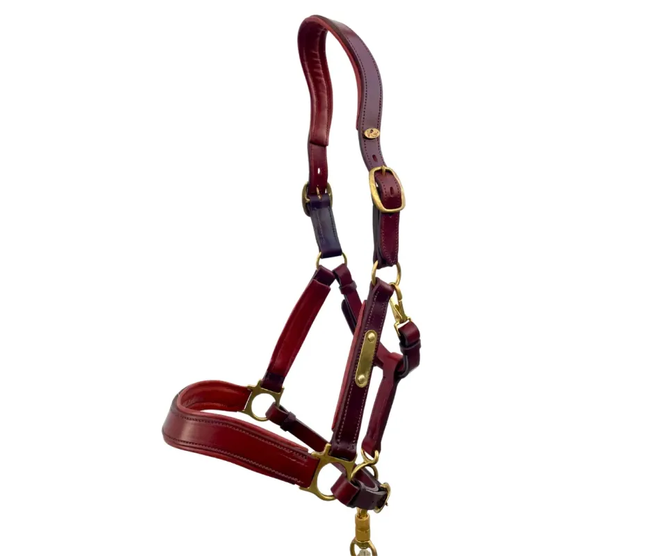 Cabezada de cuadra anatómica V-LINE SADDLERY