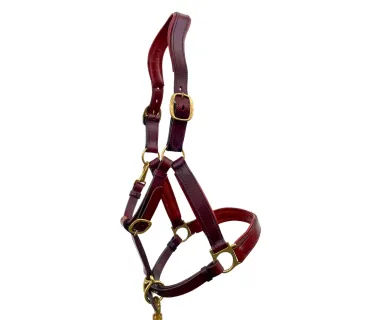 Cabezada de cuadra anatómica V-LINE SADDLERY