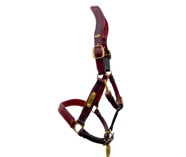 Cabezada de cuadra anatómica V-LINE SADDLERY