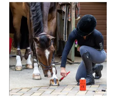 Carr & Day & Martin Aceite Cascos Vanner&Prest Hoof Oil 500Ml