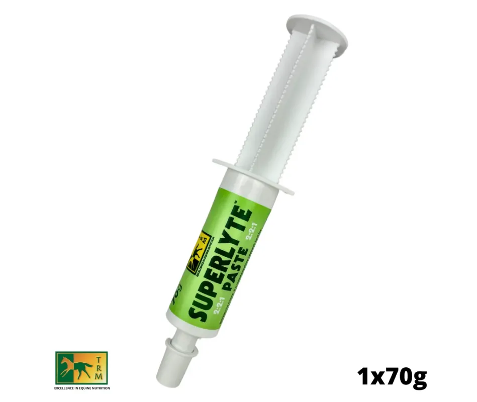 Electrolito Superlyte Paste Syringe | 1x70g Electrolito Superlyte Paste Syringe | 1x70g