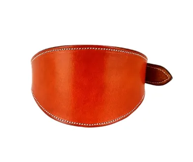 Collar de galgo PREMIUM
