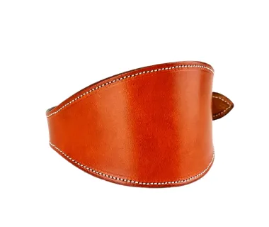 Collar de galgo PREMIUM