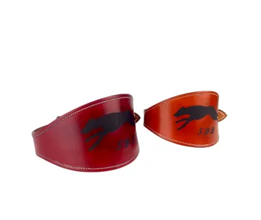 Collar de galgo PREMIUM