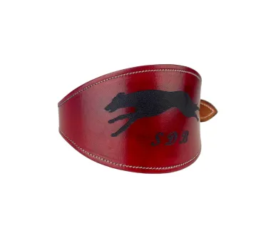 Collar de galgo PREMIUM