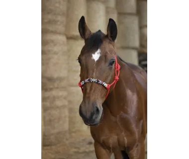 Cabezada anudada Pearls