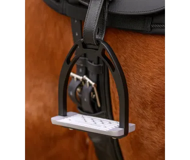 Estribos De Aluminio Waldhausen