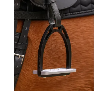 Estribos De Aluminio Waldhausen