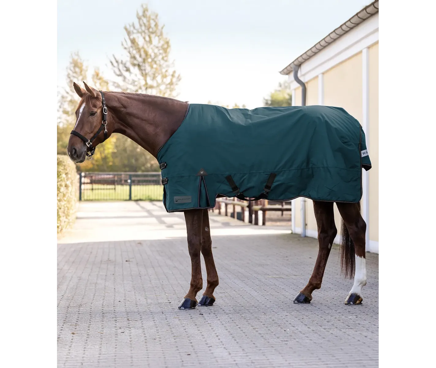 Manta para exterior ARCTIC, 300 g