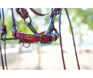 Serretón Premium con Adaptador Para Filete