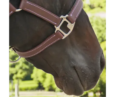 Cabezada de Cuadra PVC