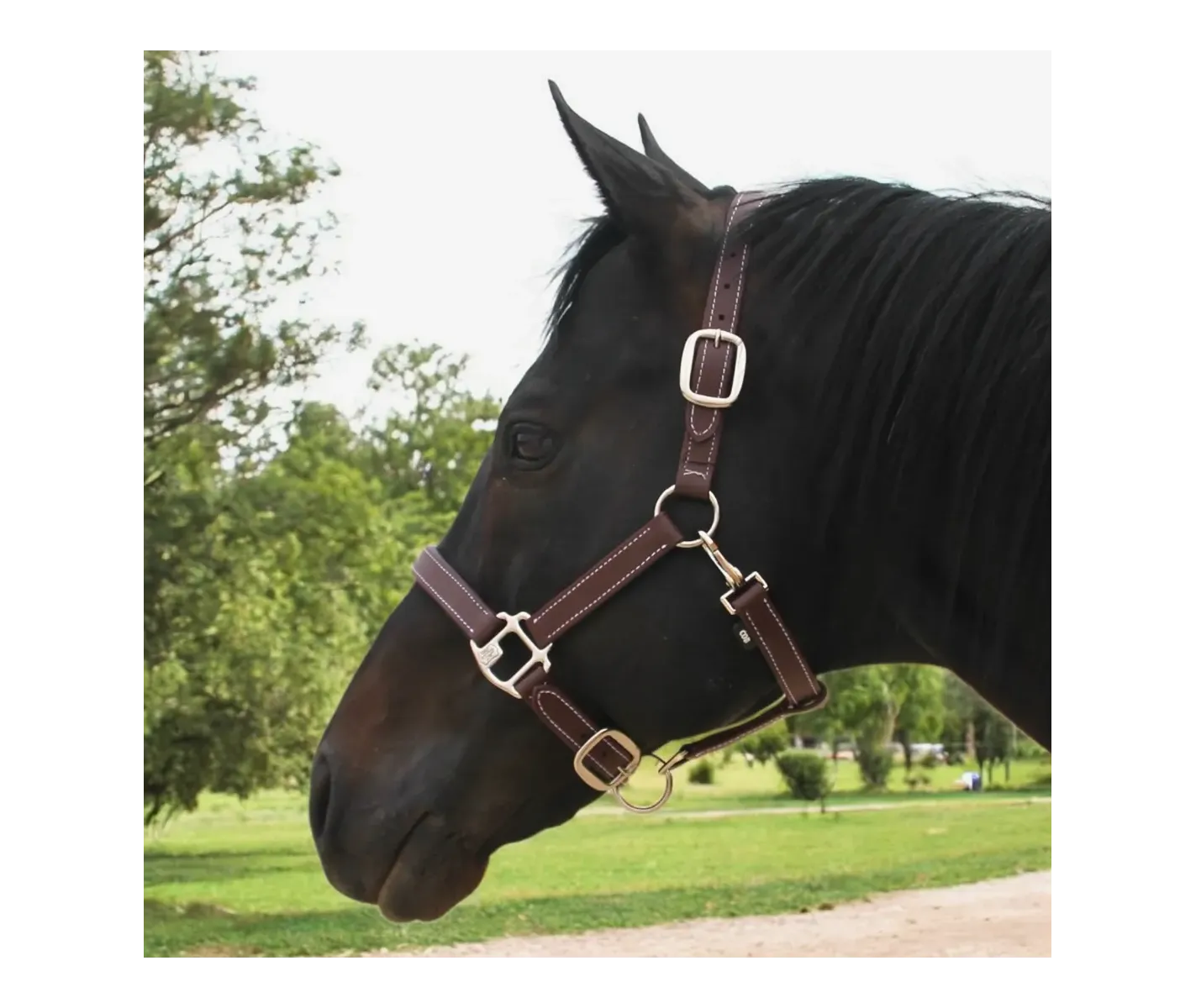 Cabezada de Cuadra PVC