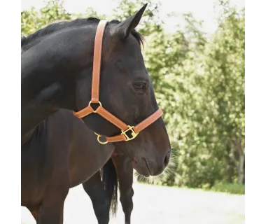 Cabezada de Cuadra PVC