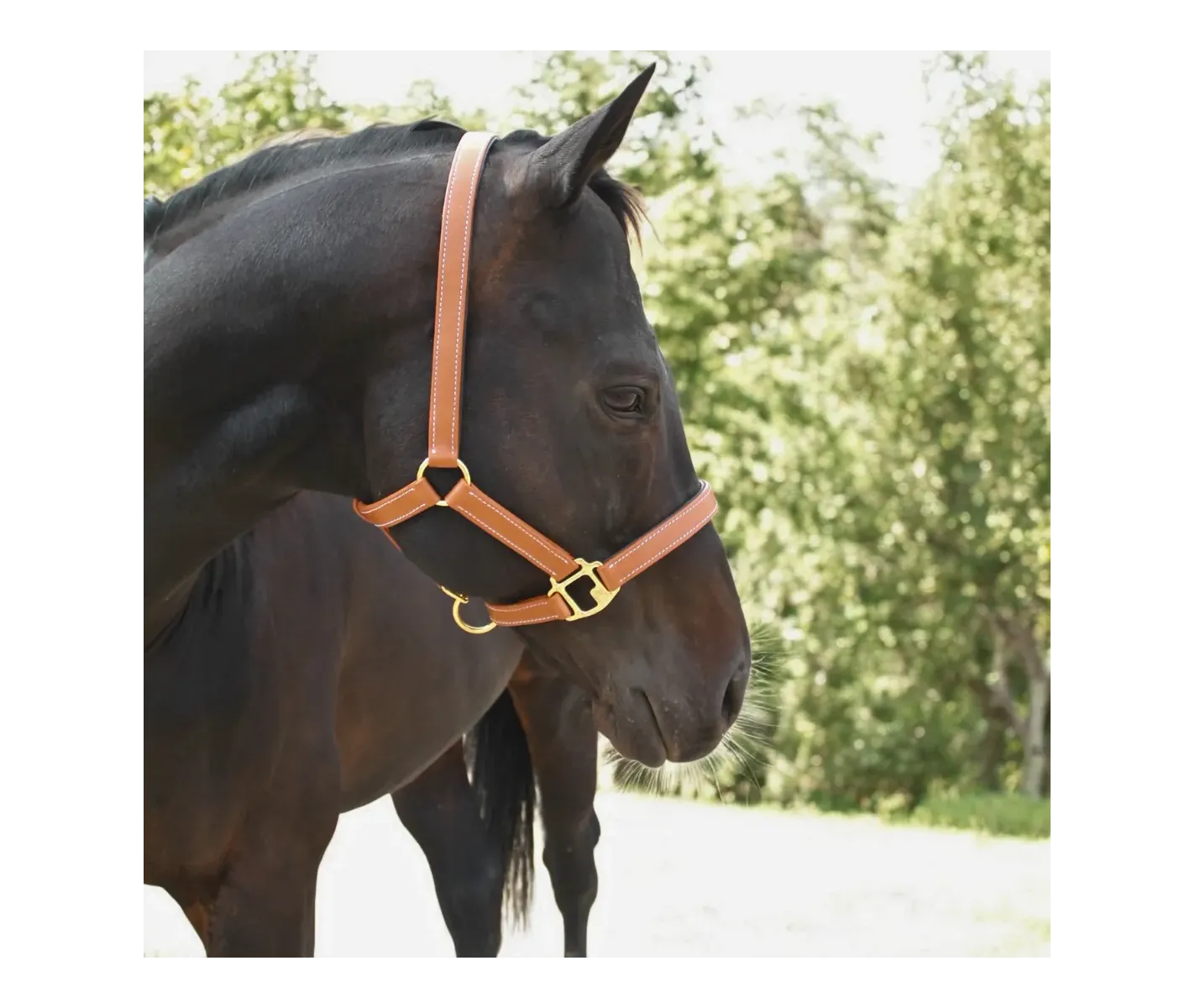 Cabezada de Cuadra PVC