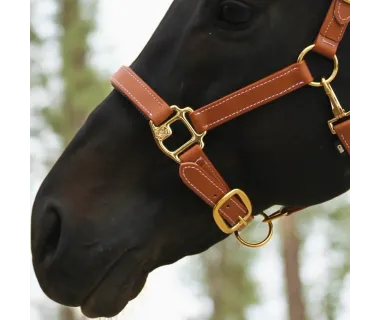 Cabezada de Cuadra PVC