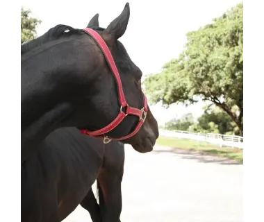 Cabezada de Cuadra PVC