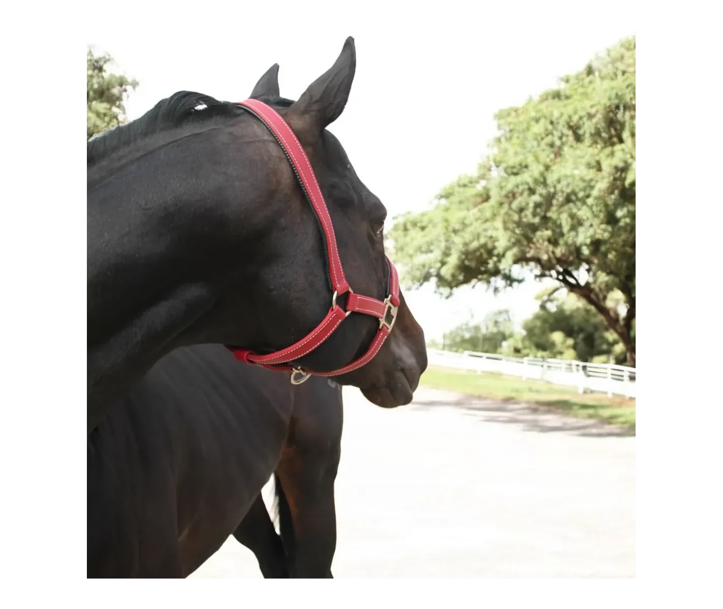 Cabezada de Cuadra PVC