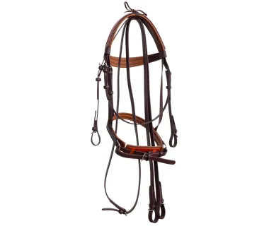 Cabezada Inglesa Doma BIOTHANE Rienda Simple