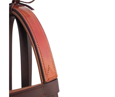 Cabezada Inglesa Doma BIOTHANE Rienda Simple