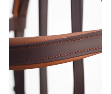 Cabezada Inglesa Doma BIOTHANE Rienda Simple