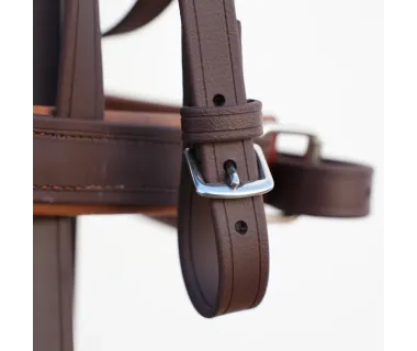 Cabezada Inglesa Doma BIOTHANE Rienda Simple