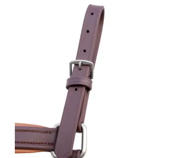 Pechopetral Inglés BIOTHANE