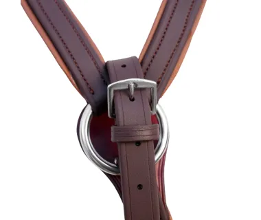 Pechopetral Inglés BIOTHANE