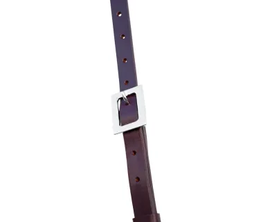 Pechopetral Portugués Premium Y Portamozo