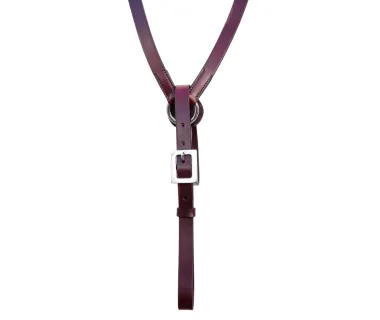 Pechopetral Portugués Premium Y Portamozo