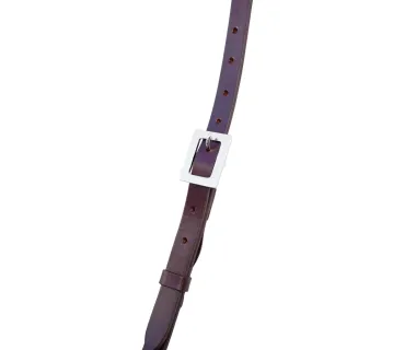 Pechopetral Portugués Premium Y Portamozo