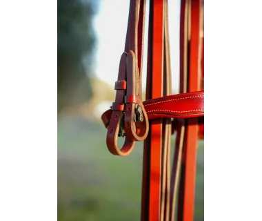 Cabezada Alta Escuela Premium | Hebilla Fragua