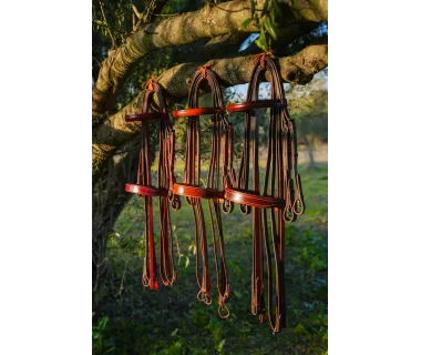 Cabezada Alta Escuela Premium | Hebilla Fragua