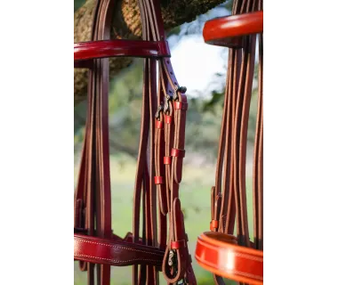 Cabezada Alta Escuela Premium | Hebilla Fragua