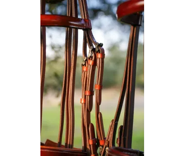 Cabezada Alta Escuela Premium | Hebilla Fragua