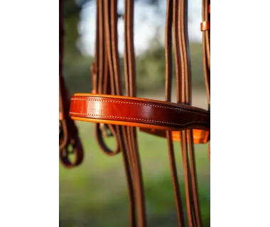 Cabezada Alta Escuela Premium | Hebilla Fragua