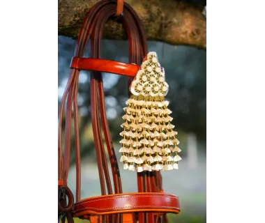 Cabezada Alta Escuela Premium | Hebilla Fragua