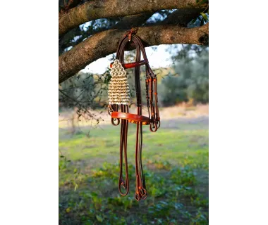 Cabezada Alta Escuela Premium | Hebilla Fragua