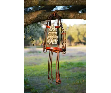 Cabezada Alta Escuela Premium | Hebilla Fragua