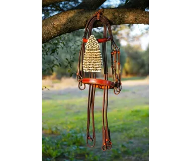 Cabezada Alta Escuela Premium | Hebilla Fragua