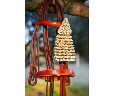 Cabezada Alta Escuela Premium | Hebilla Fragua