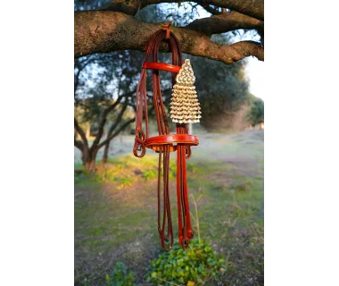 Cabezada Alta Escuela Premium | Hebilla Fragua