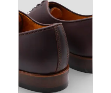 Zapato Polaina Cordón | 1314