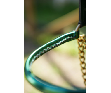 Cabezada de Presentación V-LINE SADDLERY Charol