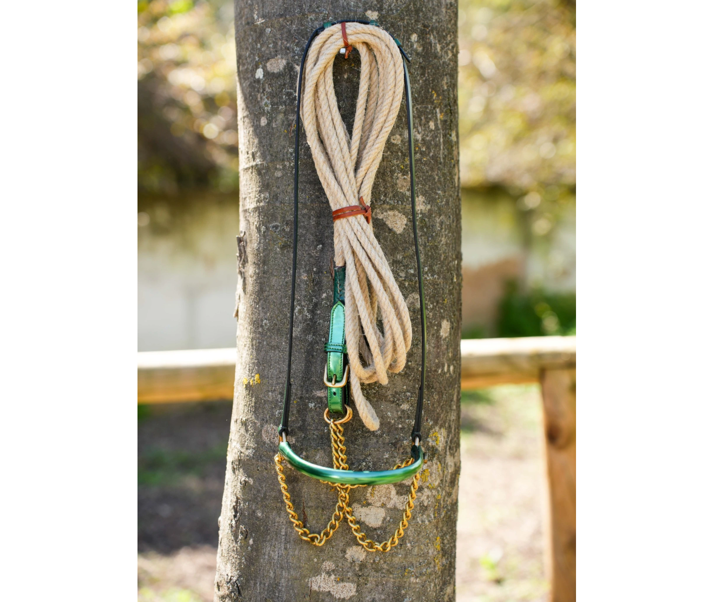 Cabezada de Presentación V-LINE SADDLERY Charol