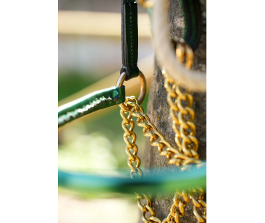 Cabezada de Presentación V-LINE SADDLERY Charol