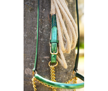 Cabezada de Presentación V-LINE SADDLERY Charol