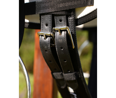 Silla Inglesa Doma Shelby Taco Muslera